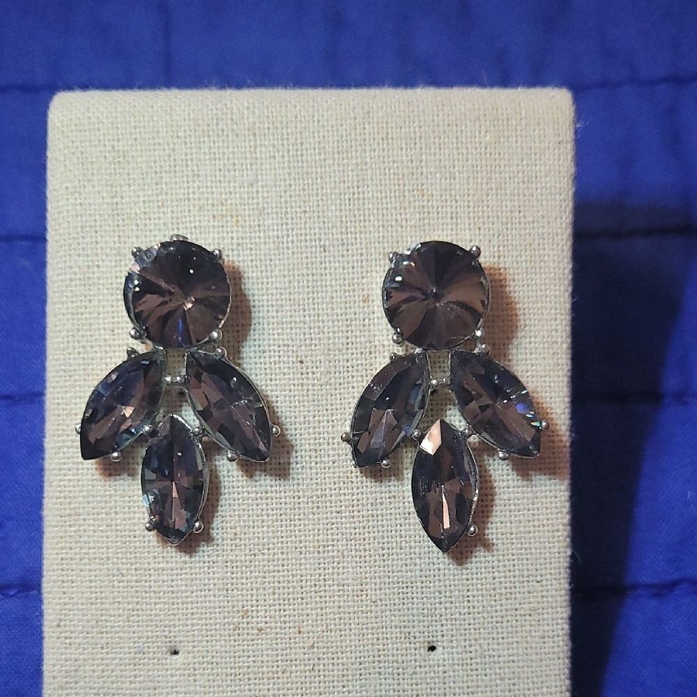 Elegant Black Crystal Earrings